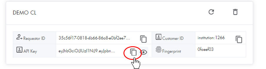 copy API key.jpg